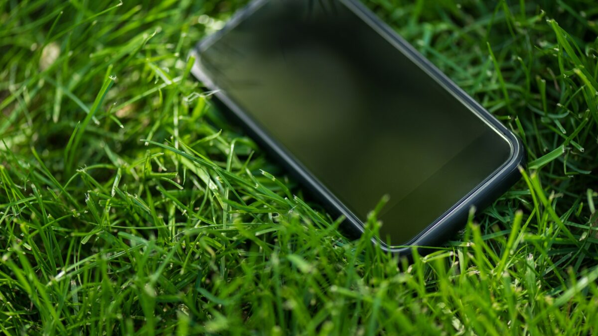 close up view of smartphone with blank screen on green lawn