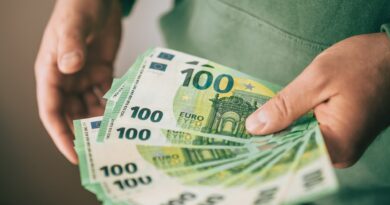 Holding money, hands with money, counting money, cash money euros