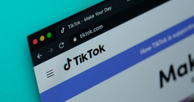 TikTok positioniert sich als Suchmaschine: iOS- und Android-Suchwidgets verfügbar