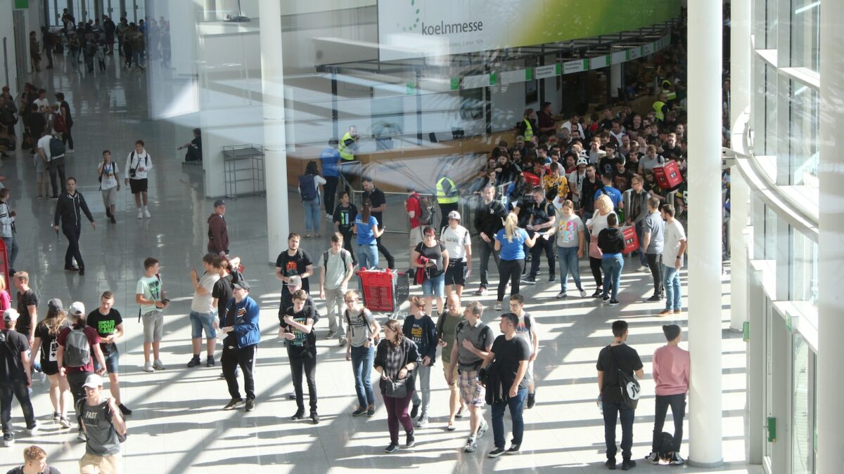 people walking on pathway