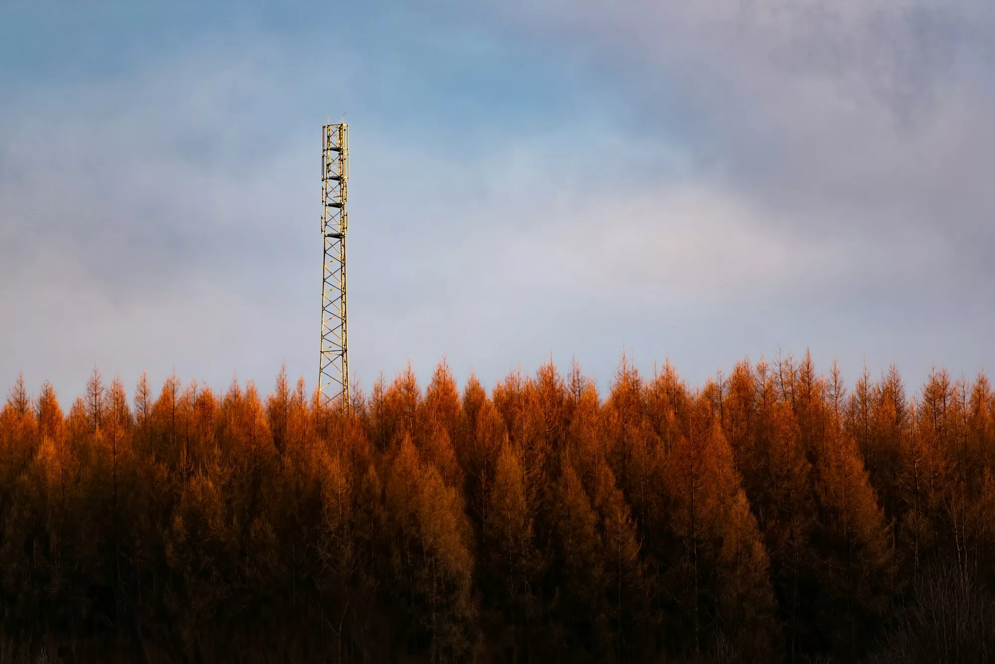 New tower build on the hill in forest rady for3G 4G LTE Radio Mast in a Rural Location